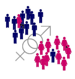 data-perencanaan-dan-penganggaran-responsif-gender-pprg-